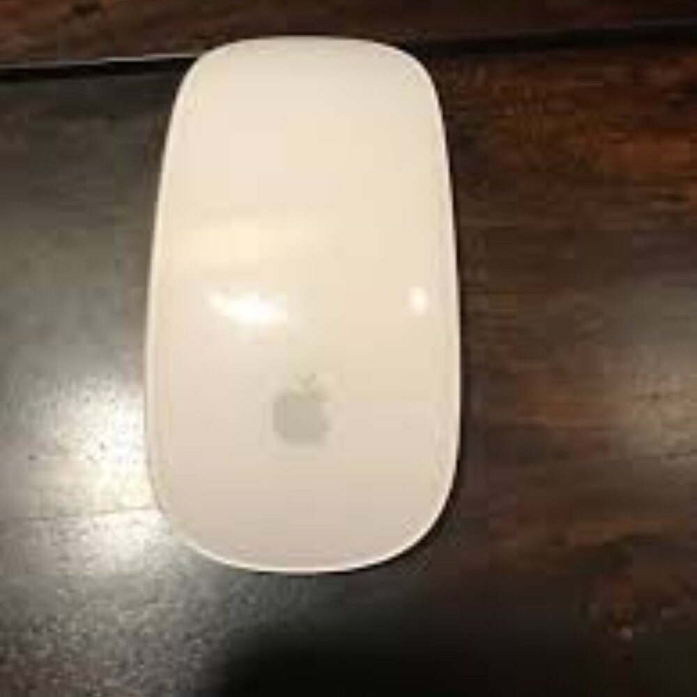 1st Generation Apple Mouse